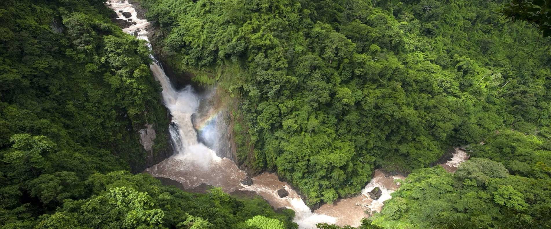 Khao Yai Nationalpary Discovery