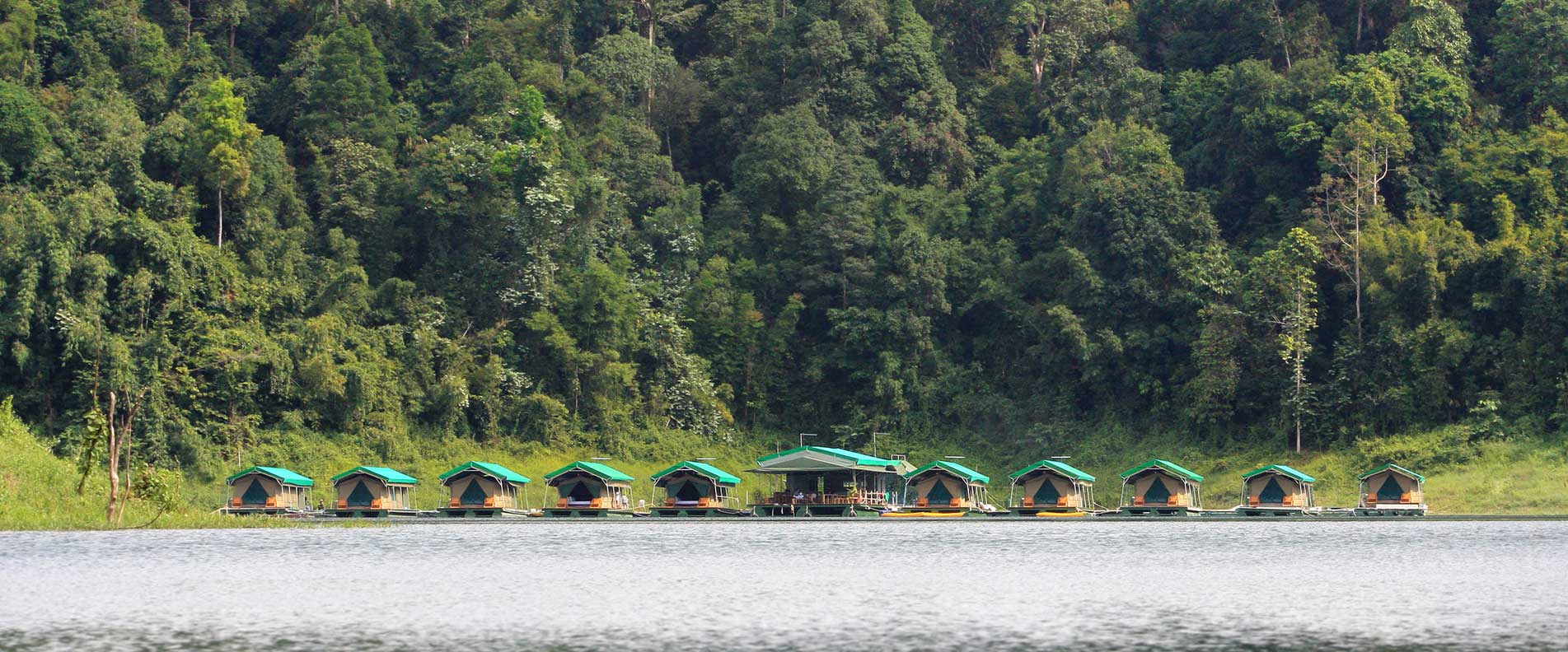 Elephant Hills Dschungel Safari